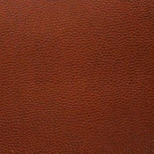 Got Leather